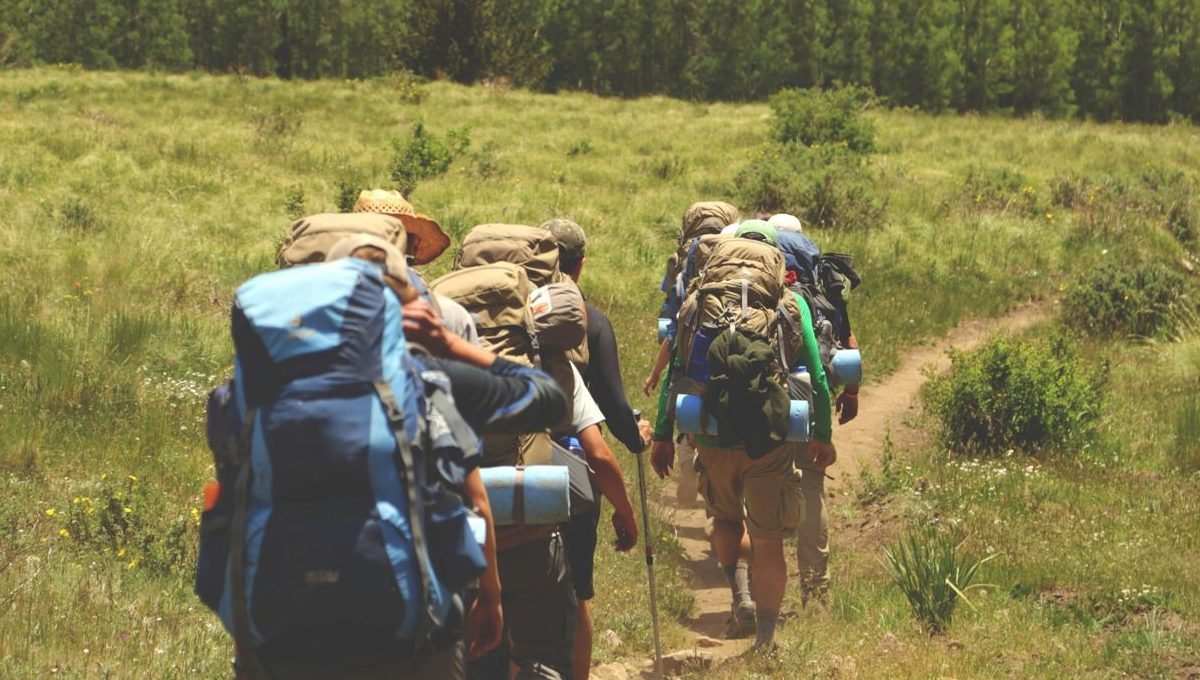 A group of backpackers heading down a trail toward the mountains
